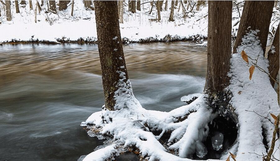 Seven Bridges Natural Area